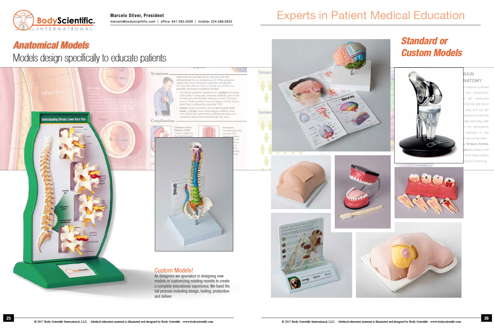 Custom Anatomical Models Body Scientific